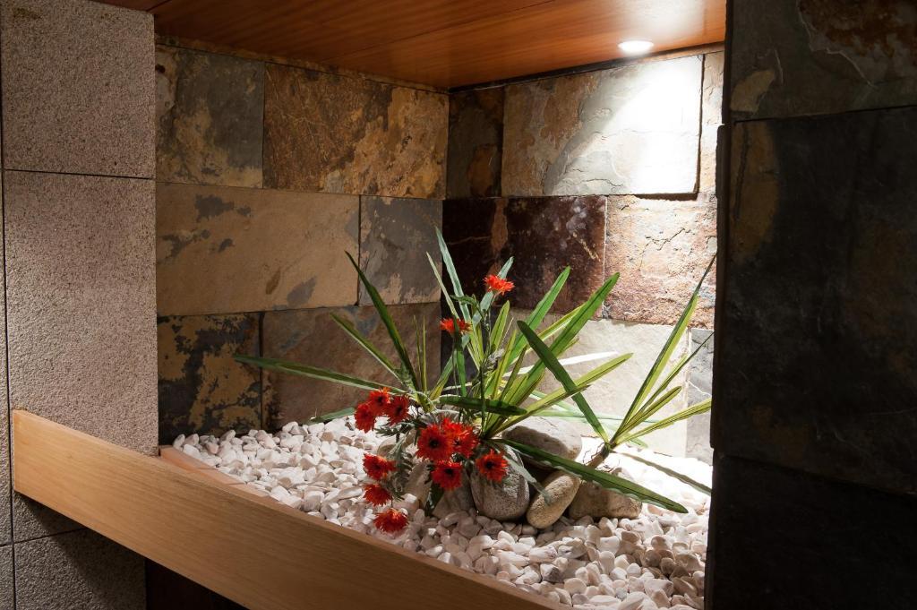 Hotel Mondim Al & Mondim de Basto
